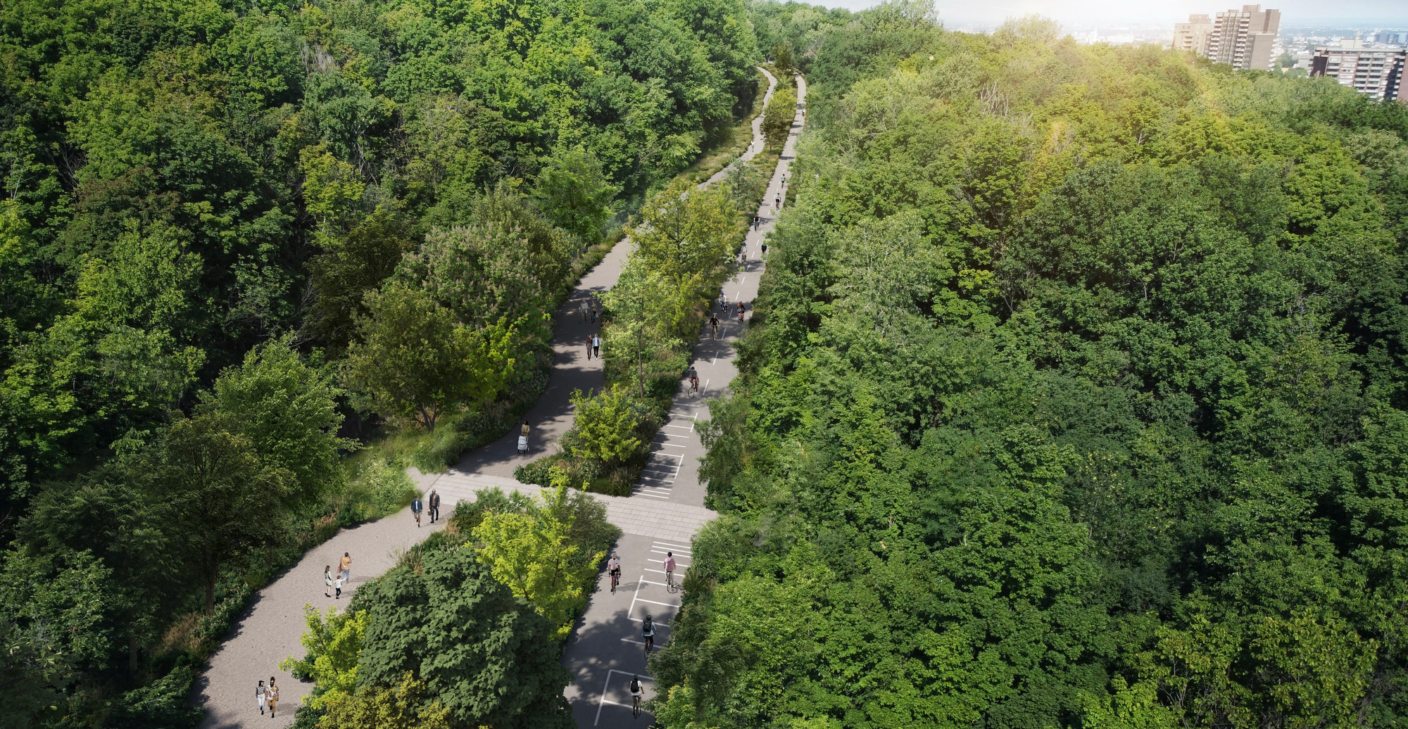 Cette image générée par ordinateur présente deux pistes séparées par des arbres.